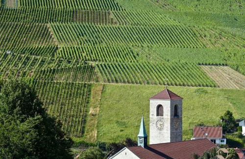 Ferienwohnung Herzog - Foto 23