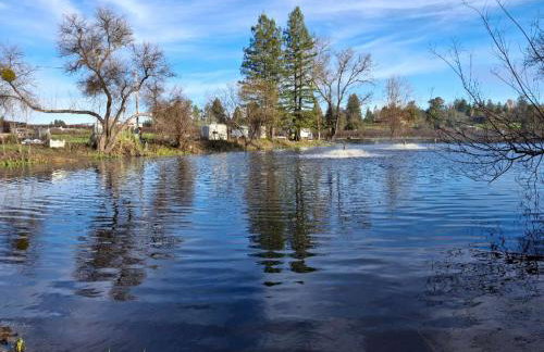 Green Valley, Sonoma County Vacation Rental at a Working Winery - Foto 44