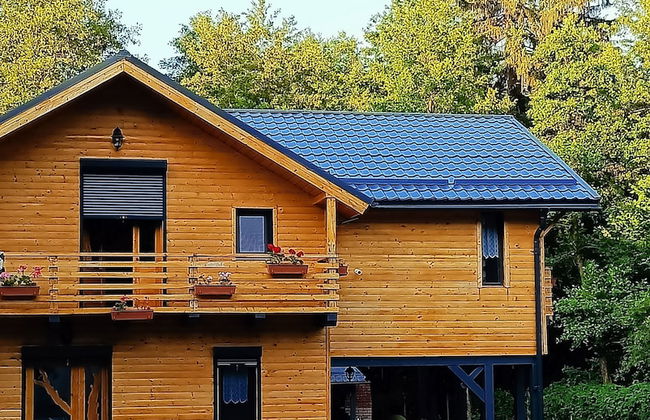 ART House Transylvania Sibiu - Foto 17