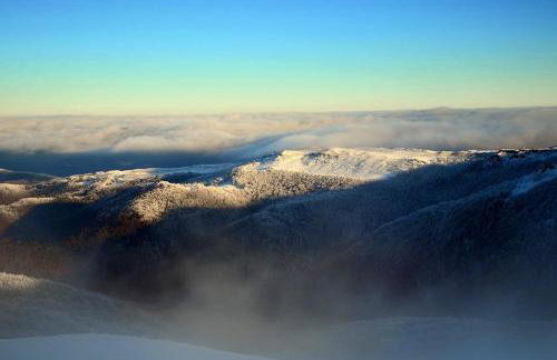 Gawra Gustawa - Foto 30