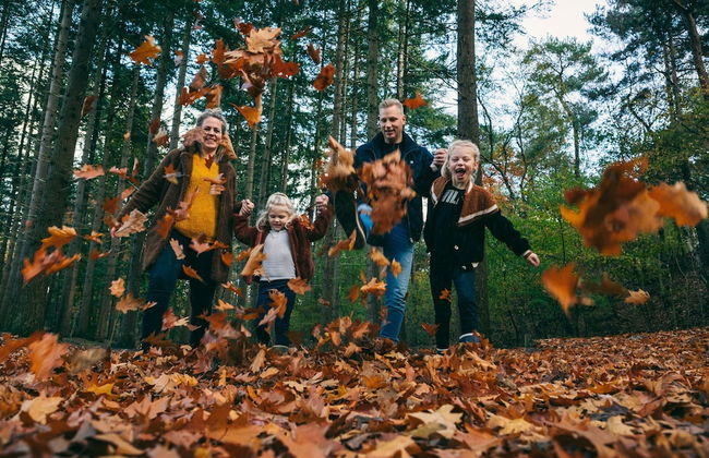 Comfy Bungalow near Bosland Nature Reserve - Foto 25