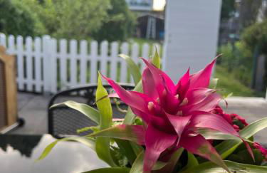 Auszeit im Pott - Ferienwohnung Lavendel - Foto 6