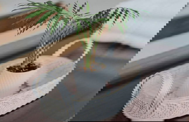 Apartments Mozinetova hisa - Foto 47