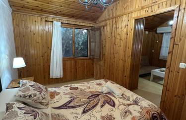 Apartamentos LA CASONA DE JARAIZ - Foto 15