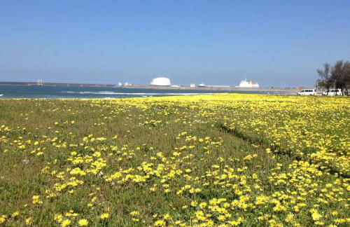 Slowly Garden House - Foto 40