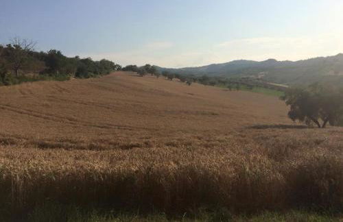 Azienda Agricola Perconti - Foto 67