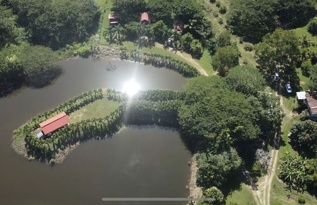 Pilgrim's Paradise Cabin 2 - Photo 20