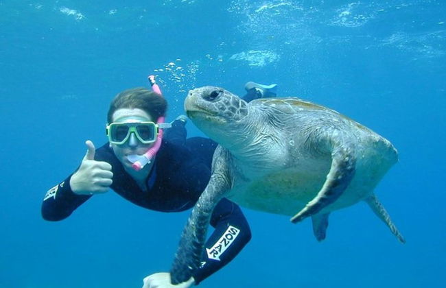 Irie Tulum - Photo 47