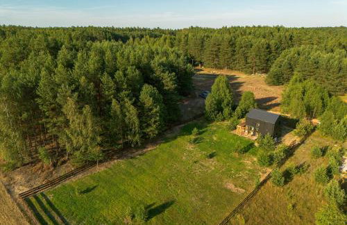 Bory Za Płotem - Foto 27