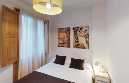 Edificio Palomar - PalomarGroup - Photo 21