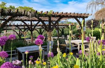 The Castle Hotel - Foto 9