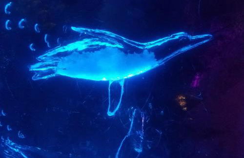 Ferienwohnung Sonnenschein - Foto 66