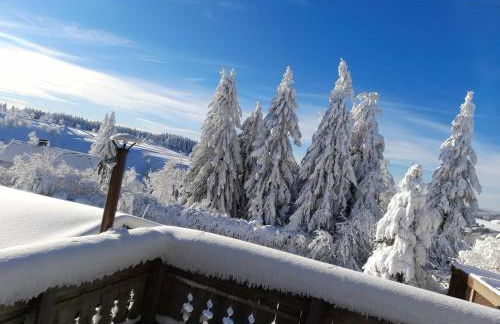 Tante Hanna - Foto 40