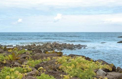 Casa dos avós - Foto 68