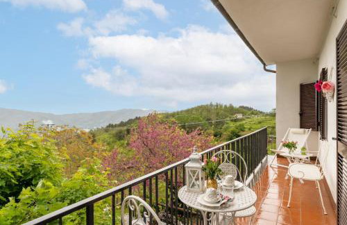 Sassi Scritti - Acero Montano - Photo 22