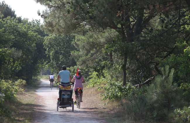 Europarcs Koningshof - Foto 72