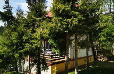 Wójtówka 16 - Foto 4