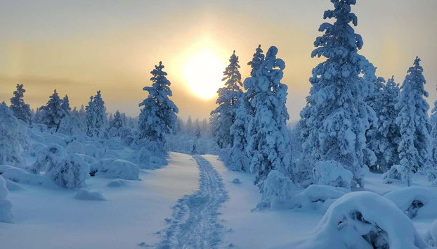 Paseo en raquetas de nieve por Inari - Foto 4, Amanecer en Inari