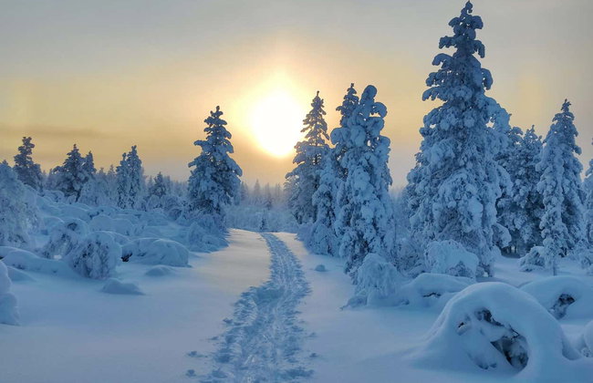 Paseo en raquetas de nieve por Inari - Foto 4