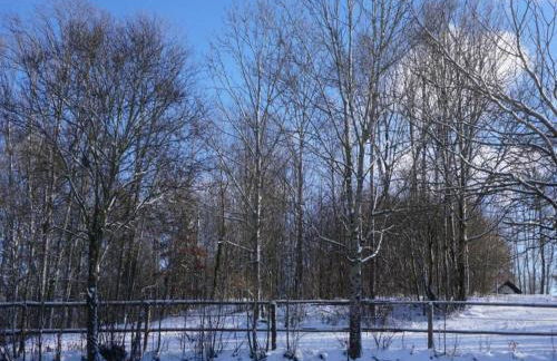 Cozy Apartment in Ruhmannsfelden With Swimming Pool - Foto 78