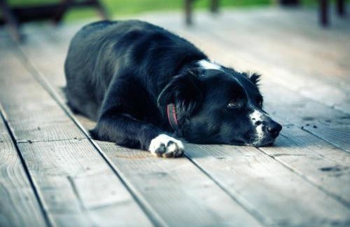 2 Bed in West Hill oc-d33968 - Foto 4