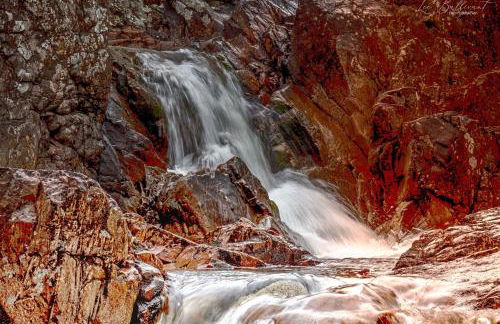 An Outdoor Enthusiasts Piece of Heaven - Photo 37