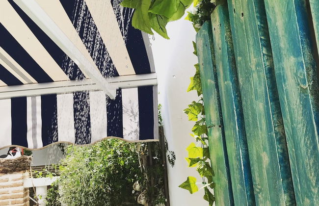 El patio del limonero - Foto 14