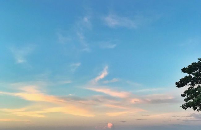 Silan Residence - Photo 65