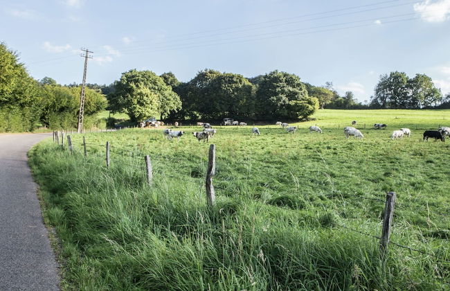 Well Kept House with Fireplace near Forest - Foto 30