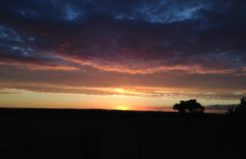 Rew Farm Country & Equestrian Accommodation - Sunrise Lodge - Foto 66