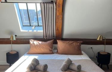 Le Laurencin Sens - L Authentique - Cœur de ville - Foto 1