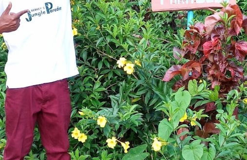 Berkey's Jungle Paradise - Photo 43