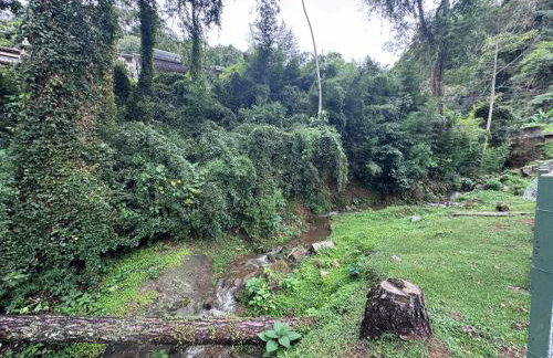 Serra Premium Flat - Foto 25