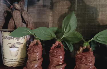 La Pensine du célèbre sorcier - Foto 28