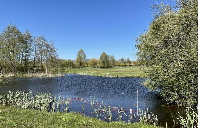 2 bedroom Apartment in Splietsdorf with garden - Photo 23