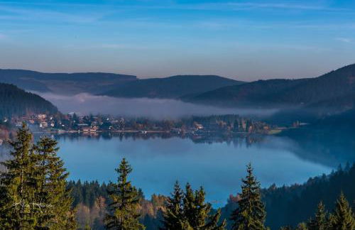 Haus Panoramablick - Fewo Alpensicht, 4 Schlafzimmer, Höchenschwand - Foto 28