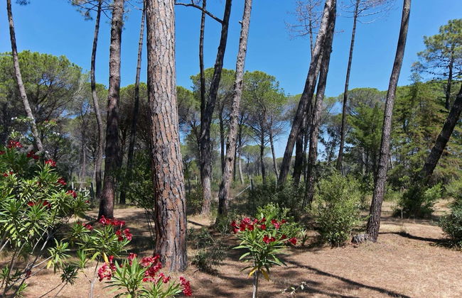 Holiday Home Grosseto Near Uccellina Beaches - Foto 23