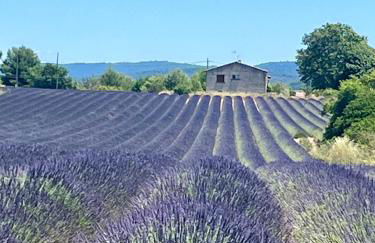 Appartement 1 chambre avec piscine - Foto 33