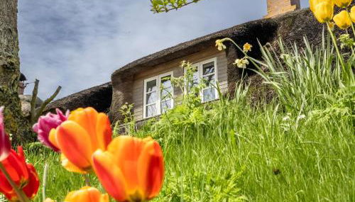 Westertilli 8 Reetdachhaus Mit - Foto 2