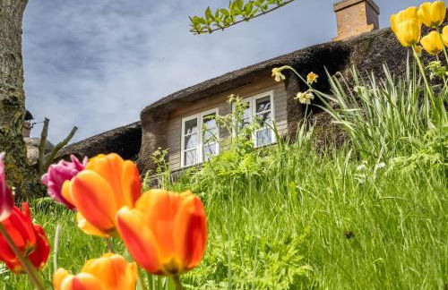 Westertilli 8 Reetdachhaus Mit - Foto 2