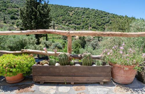 Cretan Nature Villa Alexandra - Foto 9