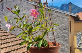 Antonio's home - Foto 1