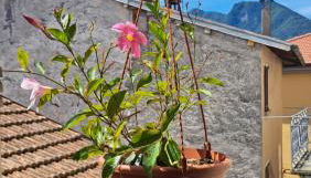 Antonio's home - Foto 1