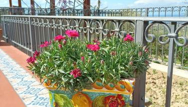 Agriturismo le Campanelle - Sicilia - Cefalù - Photo 5