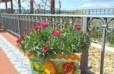 Agriturismo le Campanelle - Sicilia - Cefalù - Foto 6