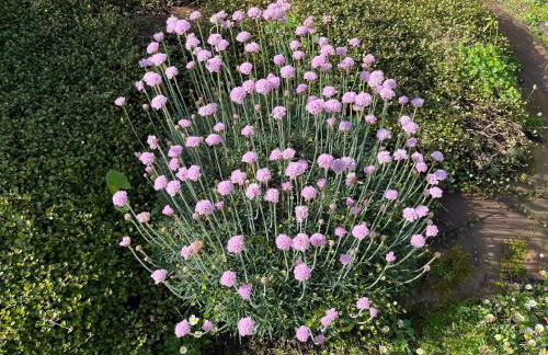 Un Paraiso Junto al Mar - Foto 14