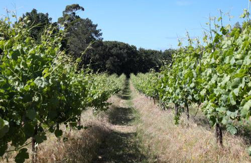Quinta de Chousas - Braga - Agrotourism - Foto 19