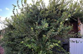 Flats Um Sonho De Liberdade - Photo 21