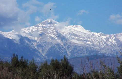 Sparta Filoxenia House - Photo 39