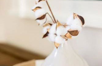 Open and Comfy home near Downtown-Folly Beach - Foto 36